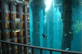 radisson-blu-hotel-aquarium-scuba-diving-berlin-1